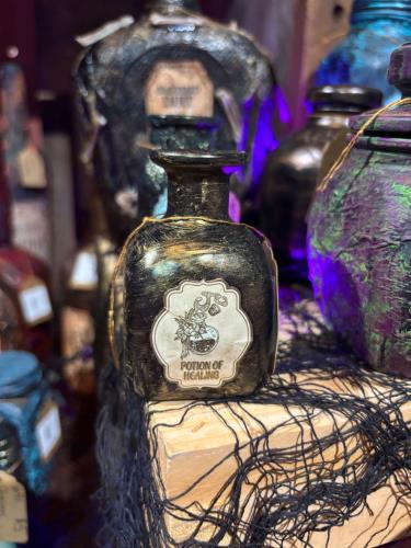 Potion of health bottle